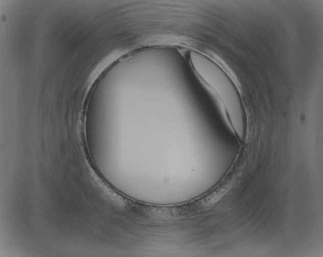 X0000081290901200702012241