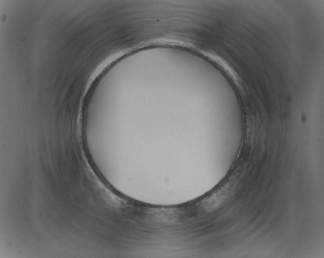 X0000081290902200702012241