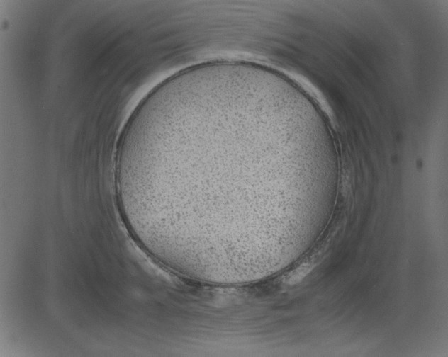 X0000081290903200702012241