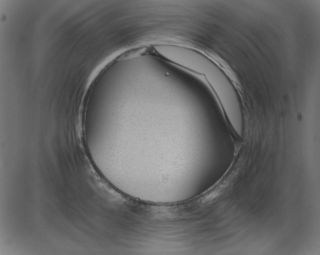 X0000081290904200702012241