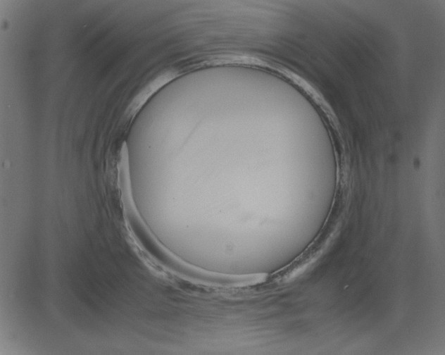 X0000081290905200702012241