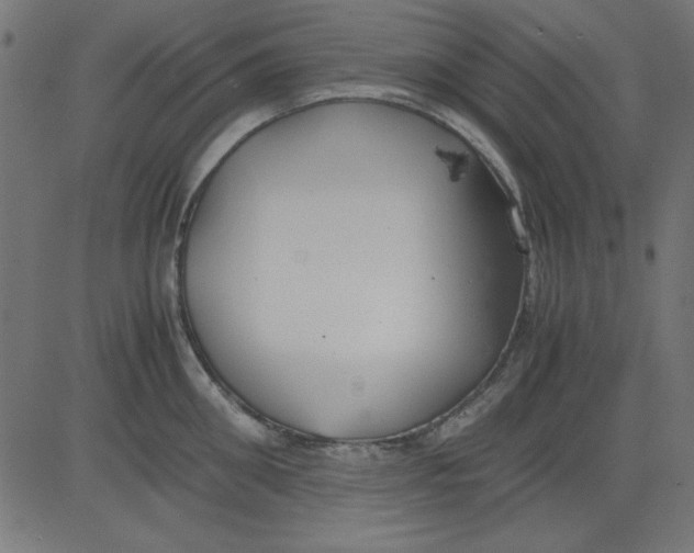 X0000081290906200702012241