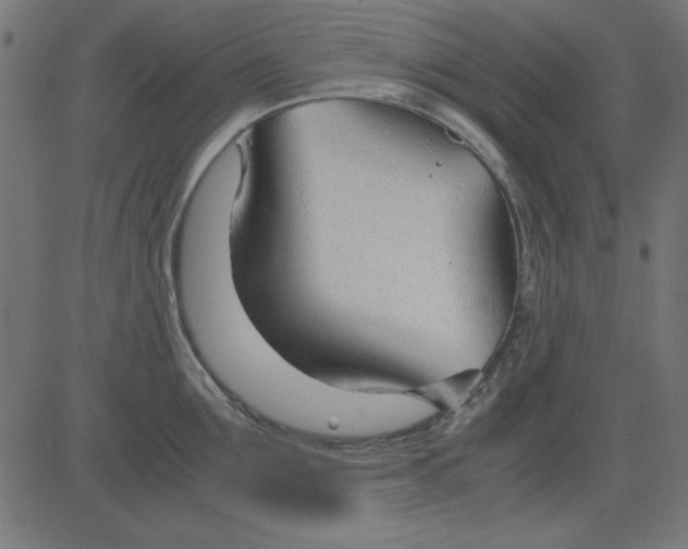 X0000081290907200702012241