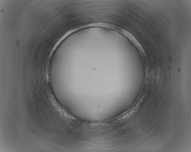 X0000081290908200702012241