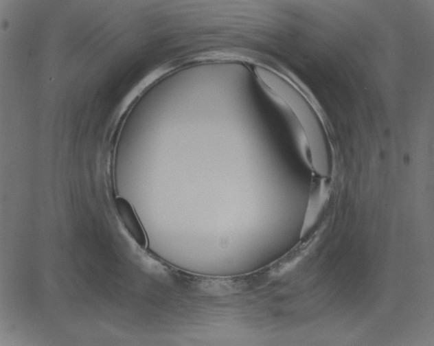 X0000081290909200702012241