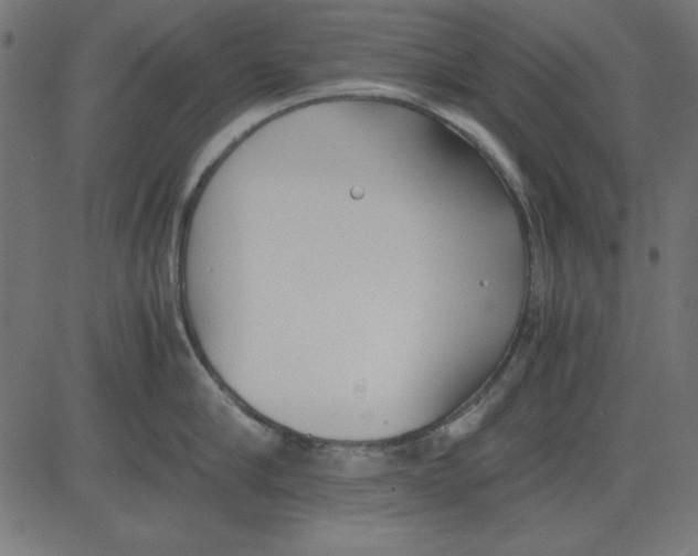 X0000081290910200702012241