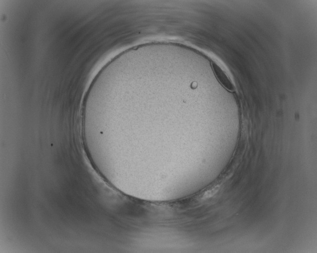 X0000081290911200702012241