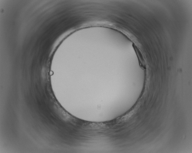 X0000081290912200702012241