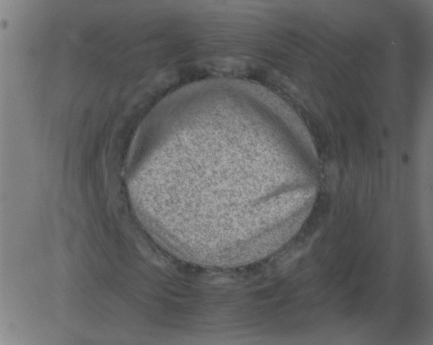 X0000081290913200702012240