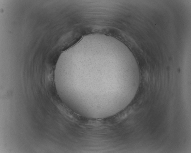 X0000081290914200702012240