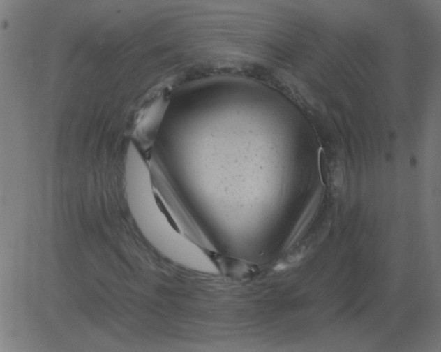 X0000081290916200702012240