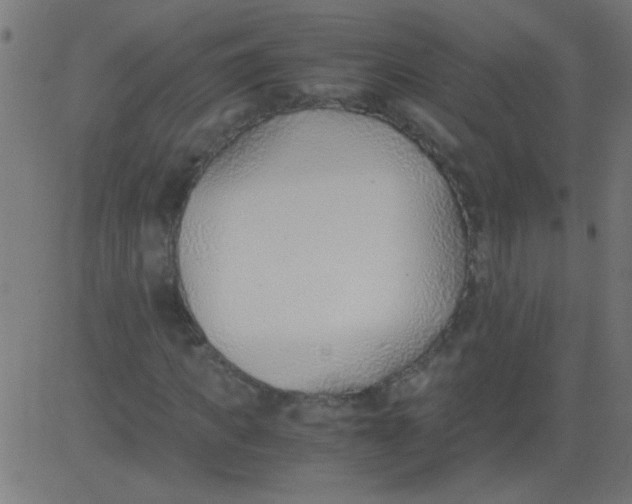 X0000081290917200702012240