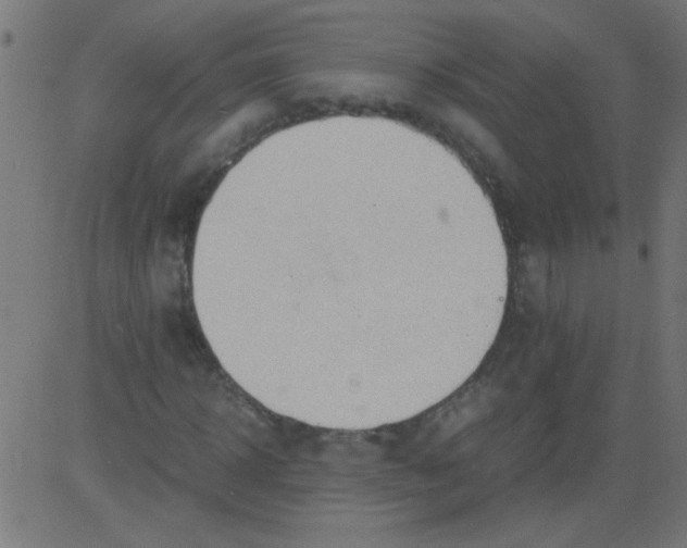 X0000081290918200702012240