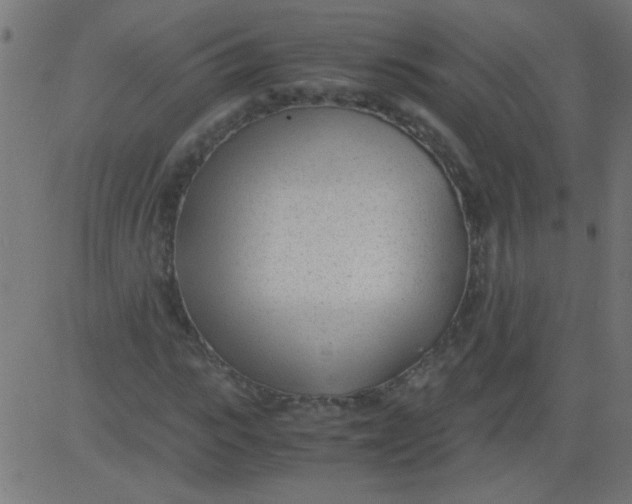 X0000081290919200702012240