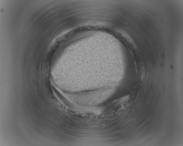 X0000081290920200702012240