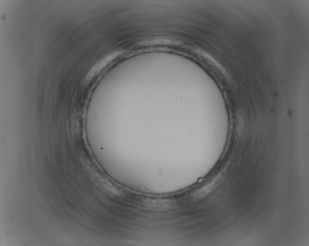 X0000081290921200702012240