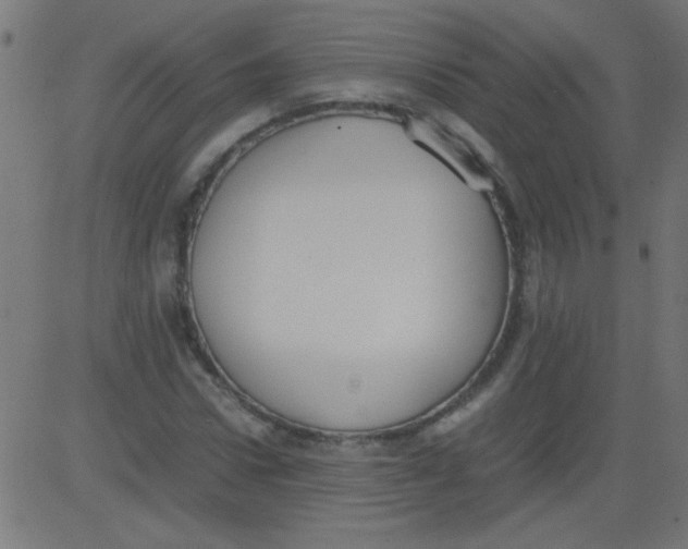 X0000081290922200702012240