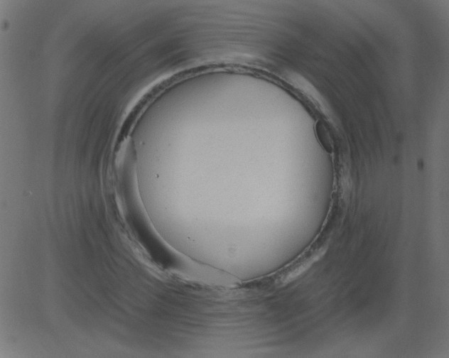 X0000081290924200702012240