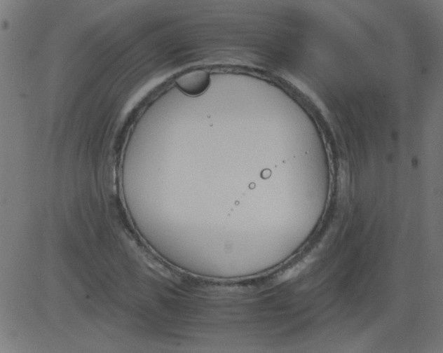 X0000081290925200702012240