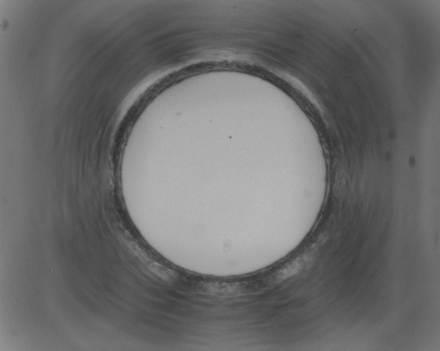 X0000081290927200702012240