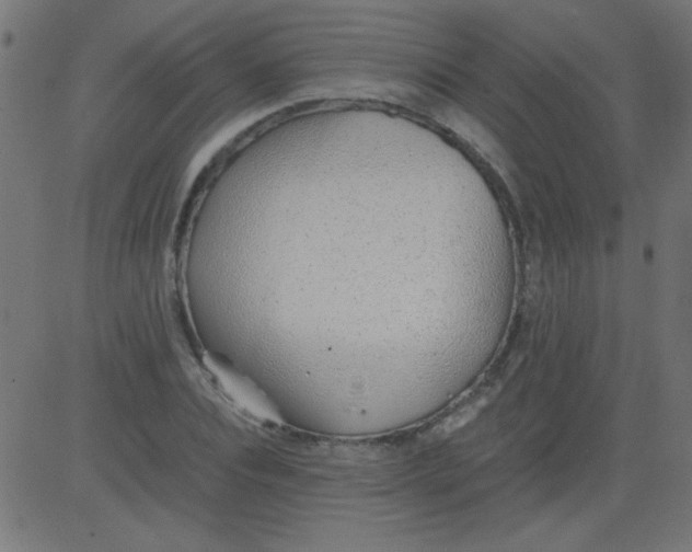 X0000081290928200702012240