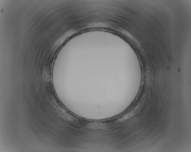 X0000081290929200702012240