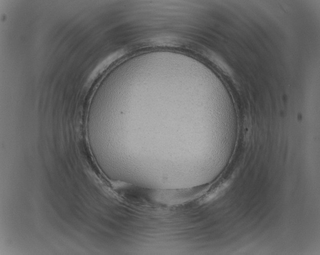 X0000081290930200702012240