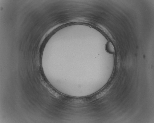 X0000081290931200702012240