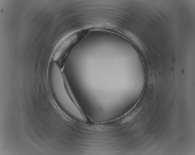 X0000081290932200702012240