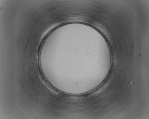 X0000081290933200702012240