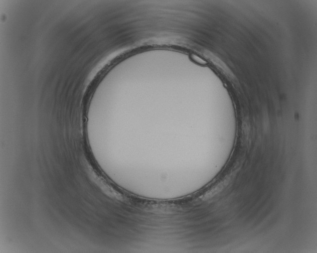 X0000081290934200702012240