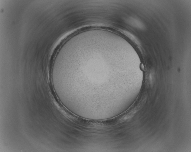 X0000081290935200702012240