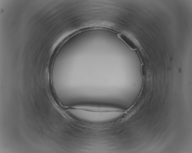 X0000081290936200702012240