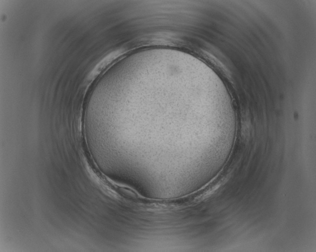 X0000081290938200702012241