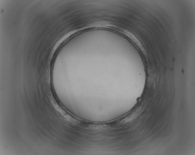 X0000081290939200702012241