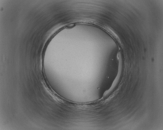 X0000081290940200702012241