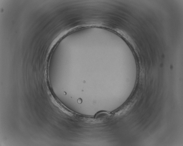 X0000081290941200702012241