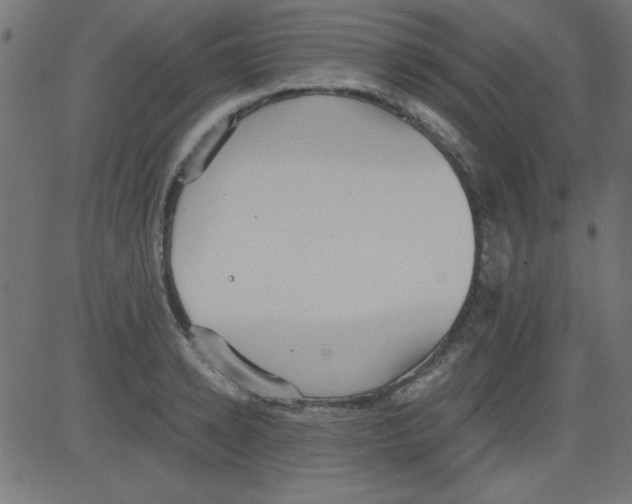 X0000081290942200702012241