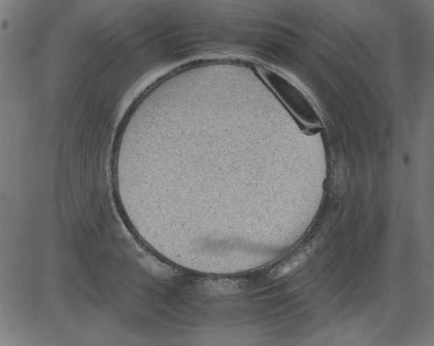 X0000081290943200702012241