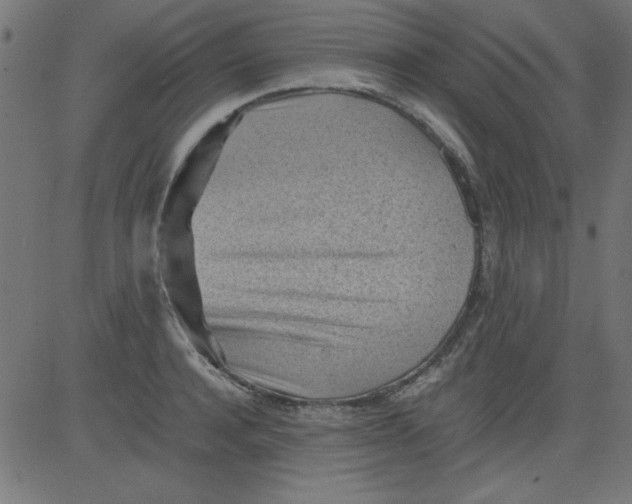 X0000081290944200702012241