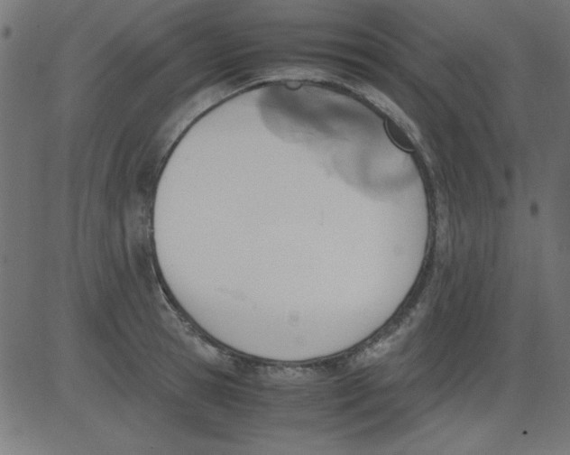 X0000081290945200702012241