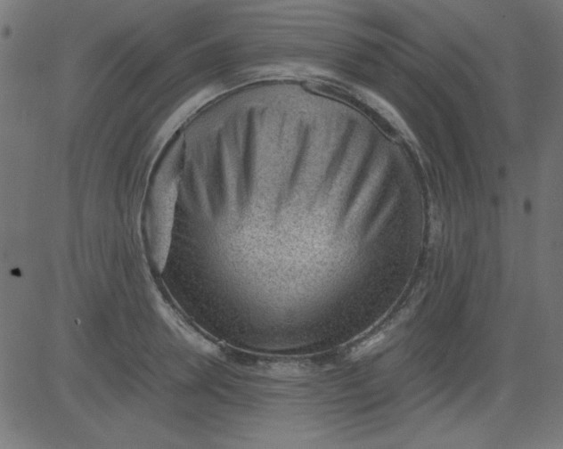 X0000081290946200702012241