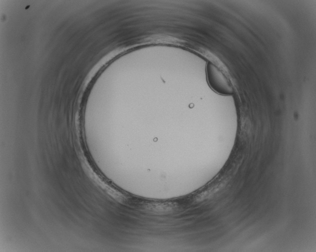 X0000081290947200702012241