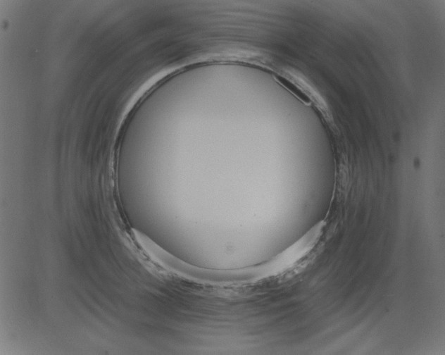 X0000081290948200702012241