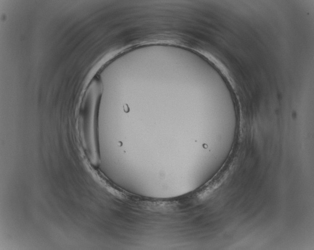 X0000081290949200702012241