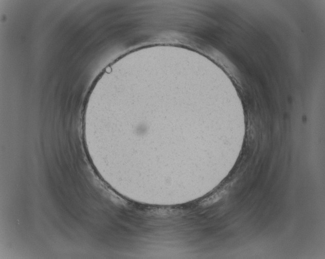 X0000081290950200702012241