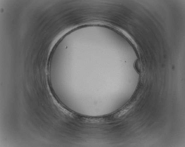 X0000081290951200702012241