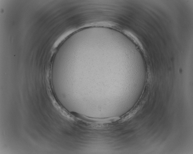 X0000081290952200702012241