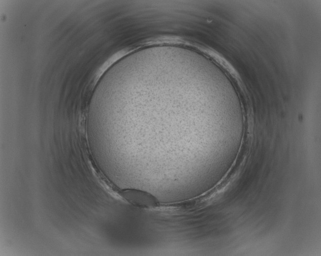 X0000081290953200702012241