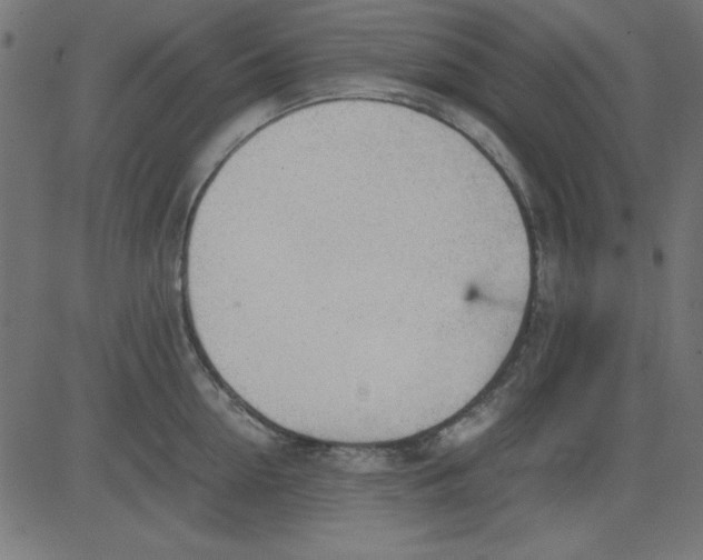 X0000081290954200702012241